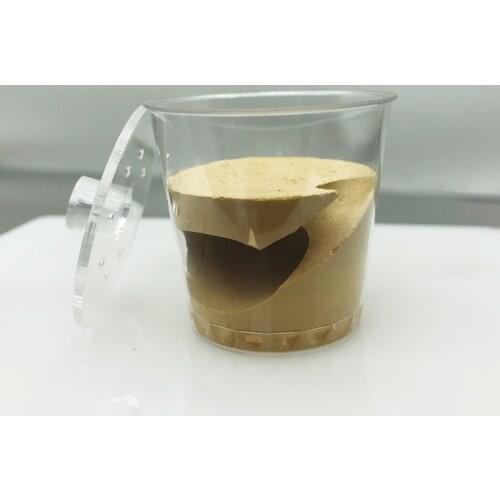 Mini Cup Nest Ant Queen Nurturing Nest Plaster Nest Suitable for Less Than 10 Workers Ants Farm House