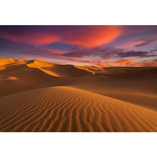 Photophone Desert romantic photo background vinyl wedding photography backdrops for photographer studio props fotografia lv-1995