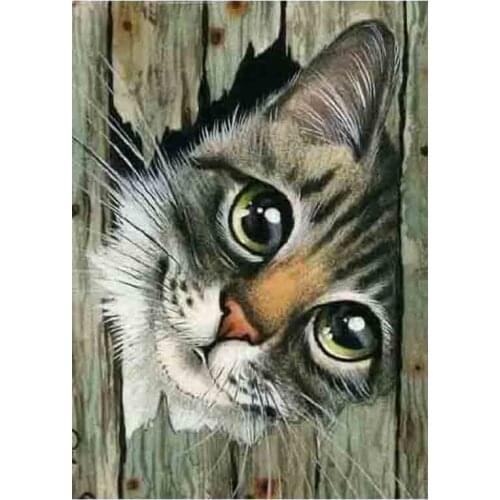 Kexinzu 5D DIY Full Square Round Stone Diamond Painting Cross Stitch Animal Cat 3D Diamond Embroidery Mosaic Work Hobby Gift
