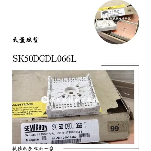 SK100DGDL066T SK50DGDL066T SK75DGDL066T SK25DGDL065T/065E