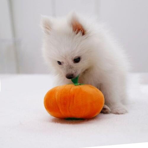 Sounding toys, pet cat toys, pumpkins, plush toys