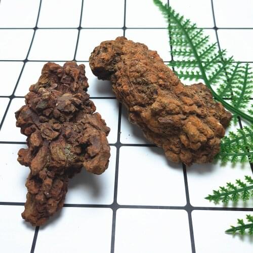 Natural rough Dinosaur dejecta fossil Mineral sample Madagascar dinosaur Feces reliquiae Crystals Healing