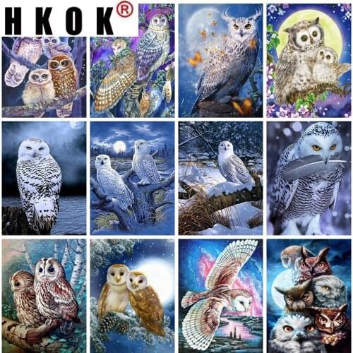 HKOK 5D Diamond Painting Owl Full Square Diamond Embroidery Animals Cross Stitch Mosaic Rhinestone Crafts Kit Living Home Decor