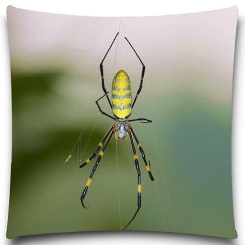 Upside down spider 9 style 16 18 20 inches Butterfly Insect Cotton polyester Pillow Case Sofa car Pad Home Decoration
