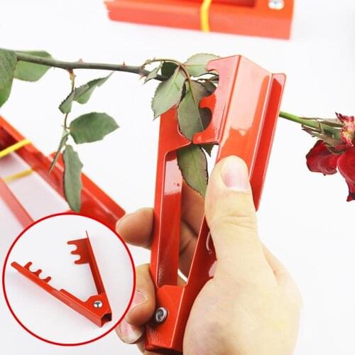 Flower Stem Burrs Pliers Cutting Tool Garden Leaves Stripping Rose Thorn Remover