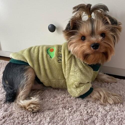 Cute Cartoon Pet Dog Clothes for Small Dogs Winter Warm Fleece Puppy Cat Pullover Shih Tzu Maltese Clothing Mascotas Sweater