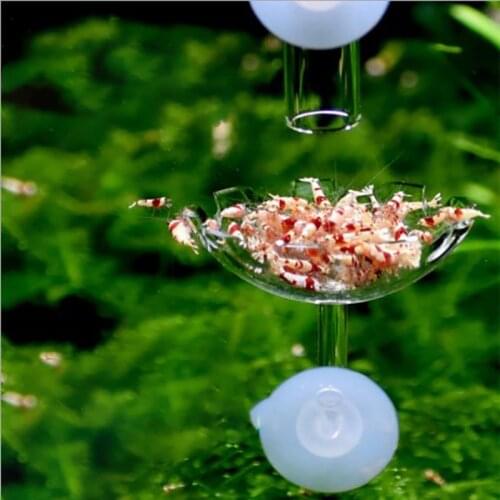Aquarium Acrylic Feeding Bowl for Fish Shrimps Fish Tank Station Food Tray Feeder with Suction Cup Aquarium Accessories 2021 New