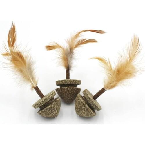 Cat Toy Catnip Vegetable Flavor Faux Feather Cats Toy Molar Toothpaste Cleaning Teeth Silvervine Cat Snacks Sticks Pet Supplies