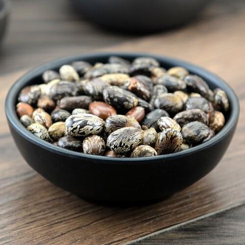 Castor Bean Semen Ricini RicinusCommunisL. CastorOilPlant BiMaZi