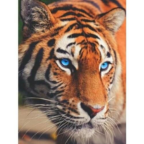 Mosaic pictures,chinese embroidery,daimond painting animals,diamond embroidery Tiger Paintings Rhinestones Home Decor Gift Anima