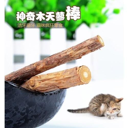10g Cat cleaning teeth Pure natural catnip pet Toothpaste stick silvervine actinidia fruit Matatabi cat snacks sticks