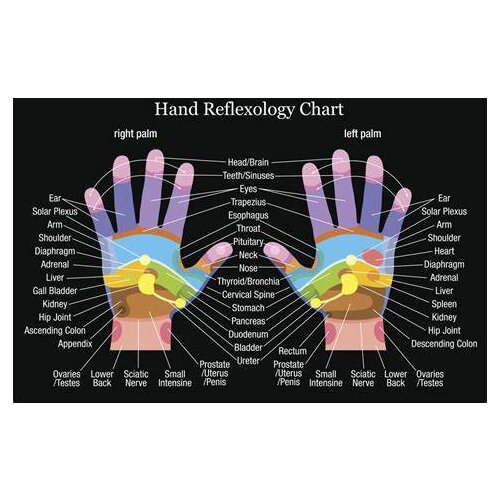 Lot style Choose Reflexology Labeled Hand Chart Art print Silk poster Home Wall Decor