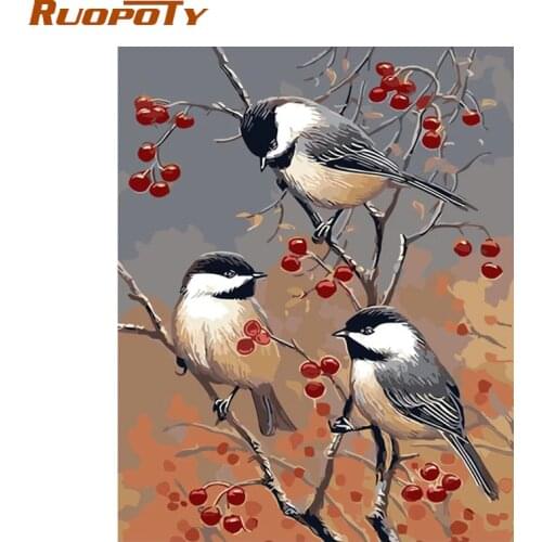 RUOPOTY Frame Three Birds DIY Painting By Numbers Animals Modern Wall Art Picture Unique Gift For Home Decor 40*50cm Artwork