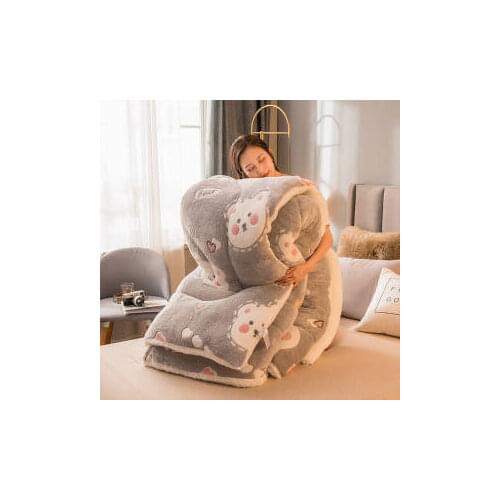 2021 Lamb double-faced velvet wool quilt Duvet 2/3/4/5 kg winter thicken blanket core extra warm And Soft double king comforter