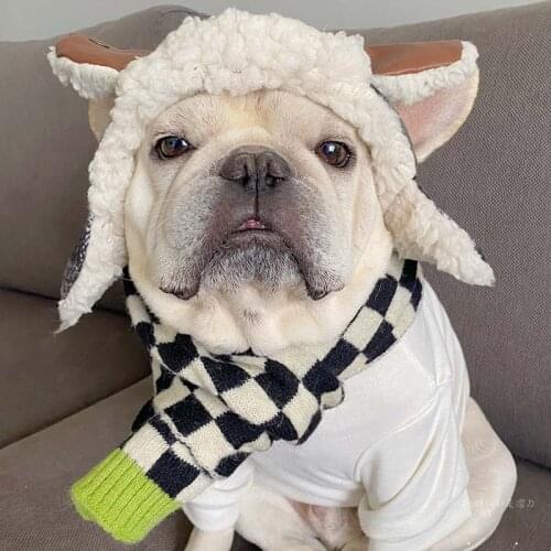 HSWLL Dog Accessories