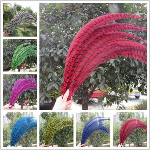 50pcs 32-36 inche/80-90cm natural Lady Amherst Pheasant Feather pheasant feathers for carnival party costumes cosplay decoration
