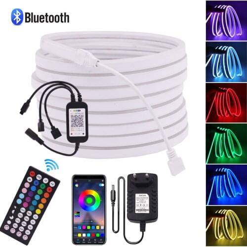 Bluetooth Neon Light 12V 3535 Music Sync Neon Strip 6X12MM Flexible Led Strip Neon Sign Waterproof Ribbon Rope Remote Control