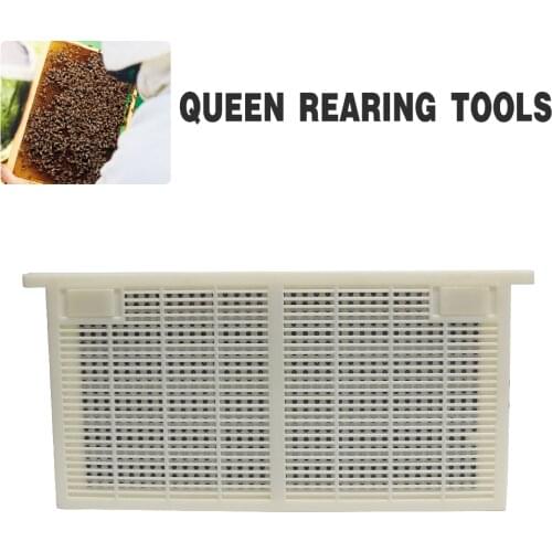 Queen Bee Rearing System for Producing for Apis mellifera Migratory bee larvae Beekeeping Tools For Beekeeper Supplies
