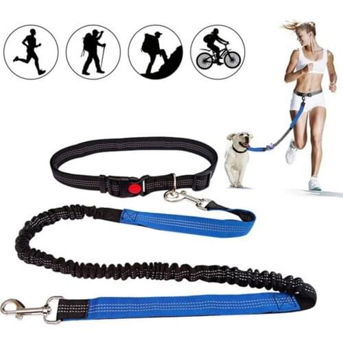 Hands Free Pet Traction Rope Running Dog Leash Retractable Small Medium Large Dogs Harness Adjustable Waist Belt Pet Supplies