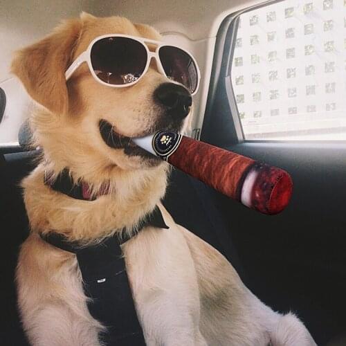 FBIL-2 Pcs Funny Dog Toys Cool & Cute Plush Squeaky Dog Toys Birthday Gift For Medium Small And Large Dogs Puppy