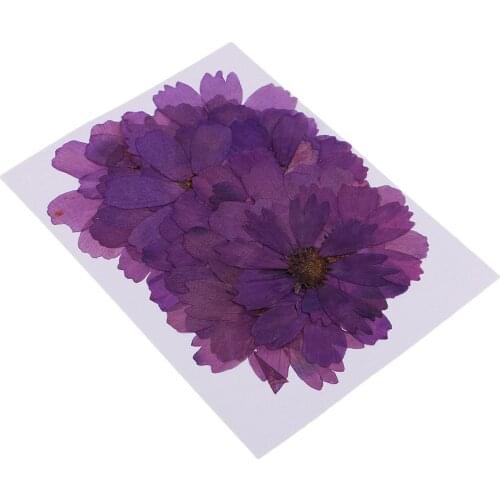 20pcs Pressed Real Dried Flower Purple Coreopsis Jewelry Making Accessories for Candle Making DIY Craft Resin Casting Ornament