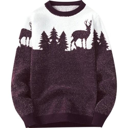 CLASS OF 2030 Men's Pullovers