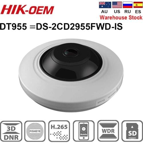 Hikvision OEM IP Camera DT955 (OEM DS-2CD2955FWD-IS ) 5 MP H.265+ Fisheye Fixed Dome Network Camera With SD Card Slot