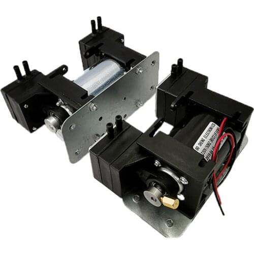 12V/220V High Positive Negative Pressure Vacuum Pump Large Flow Beauty Instrument Mute Double Head Diaphragm Pump Micro Air Pump