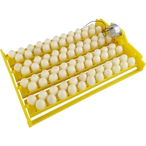 Egg Incubator Automatic 88 Bird Eggs Duck Chicken Eggs Hatching Machine 220V/110V/12V Incubator Trays With Auto Turn Pretty Well
