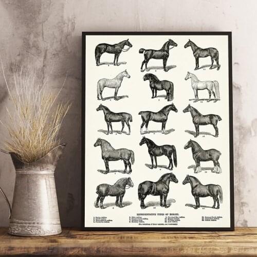 Horse Breeds Types Print Equestrian Horse Art Poster Farmhouse Wall Decor Horse Chart Vintage Retro poster kraft paper