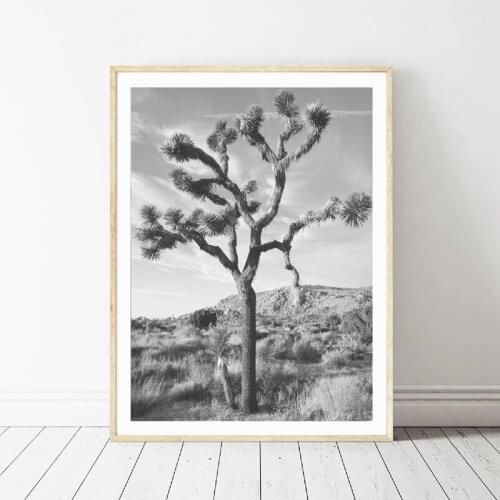 Joshua Tree Wall Art Poster Desert Prints , Black and White Joshua Tree Photography Canvas Painting Picture Home Wall Art Decor