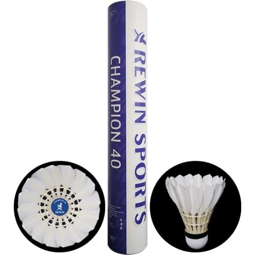 Rewin Badminton Sets