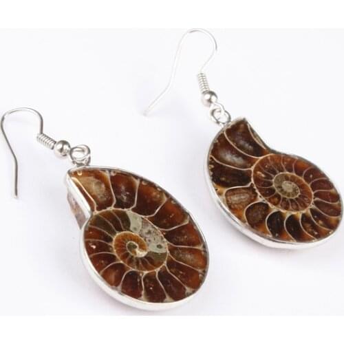 Charm Natural Ammonite Conch Shell Dangle Hook Silver Plated Earring 1 Pair