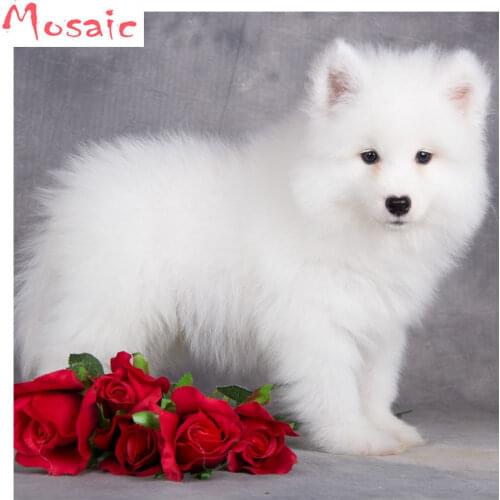 Samoyed,Flower,animal dog,Diamond Painting,Diamond Embroidery Cross Stitch,5D,Square,Rhinestone,Mosaic,DIY,Christmas gift
