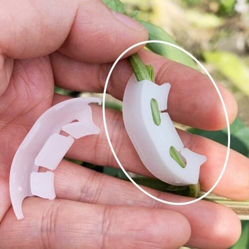 100PCS Plastic Plant Clips Supports Connects Reusable Protection Grafting Fixing Tool Gardening Supplies For Vegetable Tomato