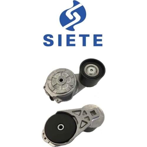 1883020C2 24066-01 Belt Tensioner