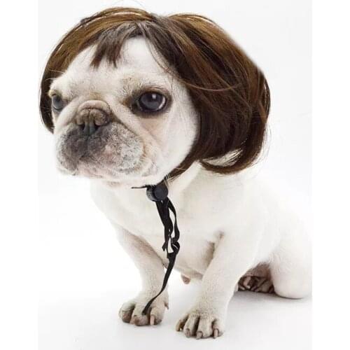 Pet Wigs Cosplay Props Dog Cat Cross-Dressing Hair Set Photography Funny Props Head Accessories Prank Pet Supplies Wholesales