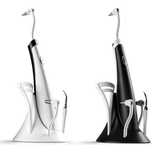 Ultrasonic Dental Cleaner LED Guide Light Remove Tooth Stain Plaque Scaler 15000rpm Battery Power with 5 Replaceable Clean Heads