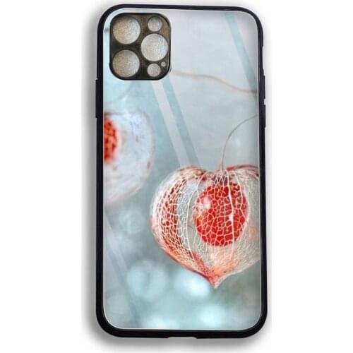 Physalis flower Phone Case Tempered Glass For iPhone 12 Pro Max Mini 11 Pro XR XS MAX 8 X 7 6S 6 Plus SE 2020 case
