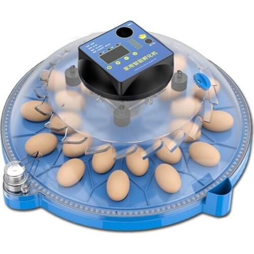 Incubator Small household type Fully automatic incubator Intelligent incubator