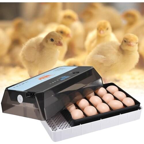 15 Egg Full Automatic Incubator Farm Hatchery Incubator Goose Quail Brooder Machine High Hatching Rate Chicken Turning Motor