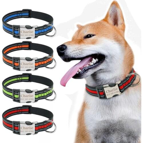 Nylon Dog Collar Personalized Pet Collar Engraved ID Tag Nameplate Reflective for Small Medium Large Dogs Pitbull Pug