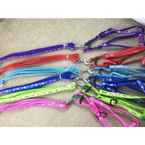 50 pcs/lot Dog Harness Pet Adjustable Training Walking Collar Pet Dog Leashes and Collars Set Puppy Leads for Small Do