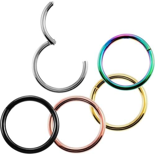 1PC Titanium Hinged Segment Nose Ring Ear Cartilage Tragus Helix Lip Piercing Nose Rings & Studs Rainbow Gold Black Punk Jewelry