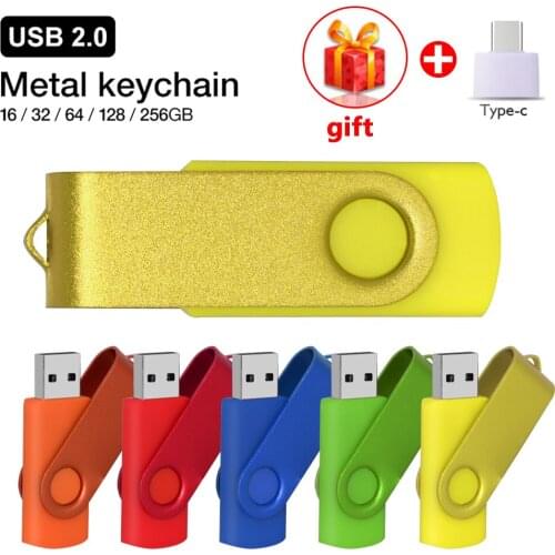 USB 2.0 Flash Drive 100GB 64GB 32GB 16GB 128GB Pen Drive Pendrive Waterproof Silver Colourful U Disk Memoria Cel USB Stick Gift