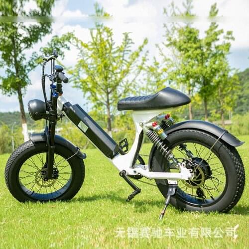 48V1000W 20 Inch Fat Tire Power Bicycle Snow Mountain Bike