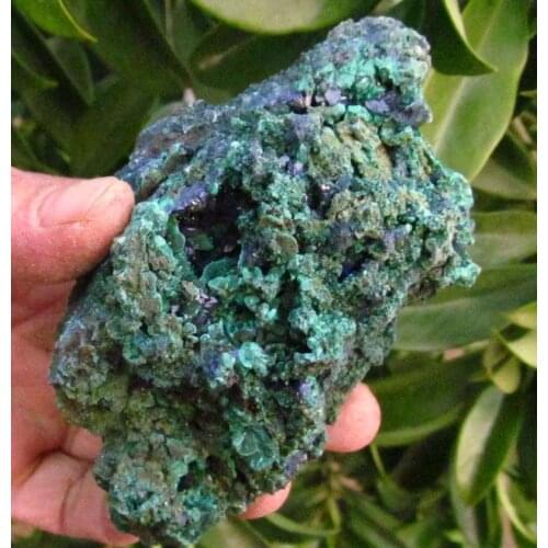 375g Gem Blue azurite Crystal Cluster&Green malachite on Matrix Mineral Specimen