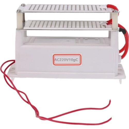 Ceramic Ozone Generator 220V 10g/H Double Ceramic Plate Air Purifier Ozonizer
