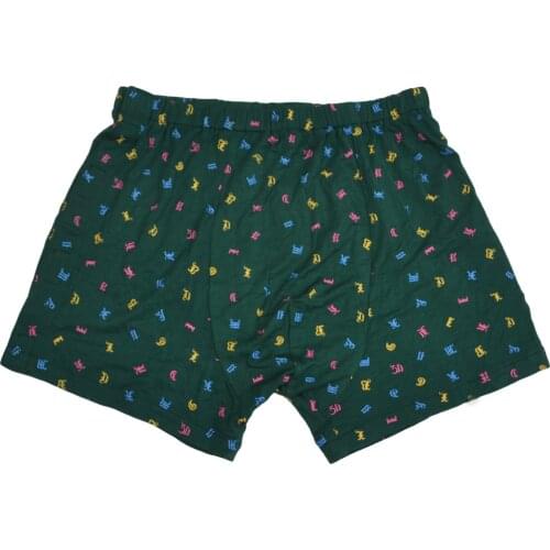 Green Reusable Incontinence Briefs Pants Cotton Snap-on Underwear Washable for Elderly Men, Breathable, Buckle Design