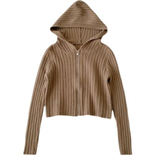 Autumn new style Korean fashion slim short section long-sleeved hooded knitted sweater women